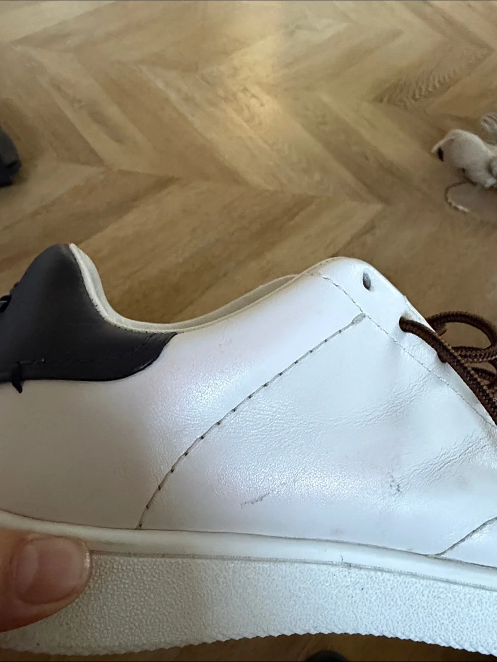 Coach low top sneakers
